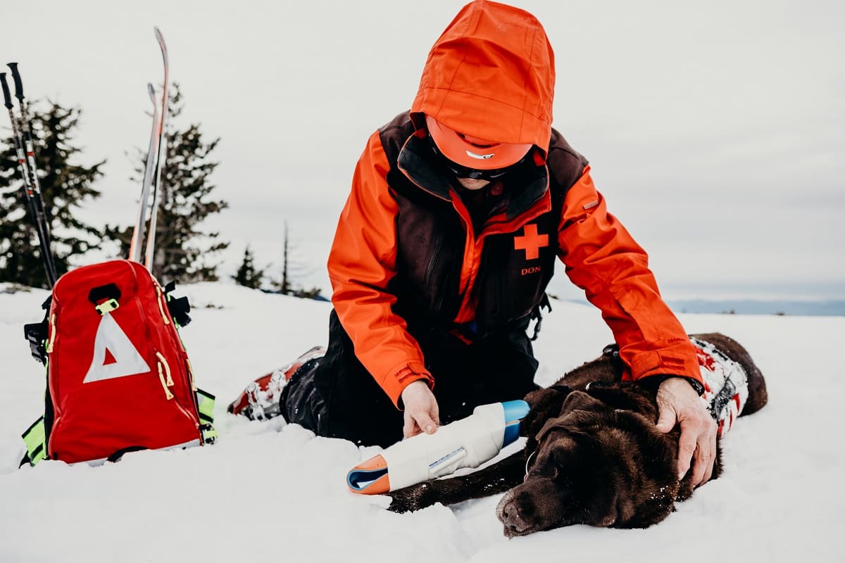 En person i orange räddningsjacka knäböjer i snön och håller på att applicera en sam splint på benet av en brun labrador som ligger ner. En röd ryggsäck och skidor står i snön bredvid.